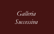 galleria successiva